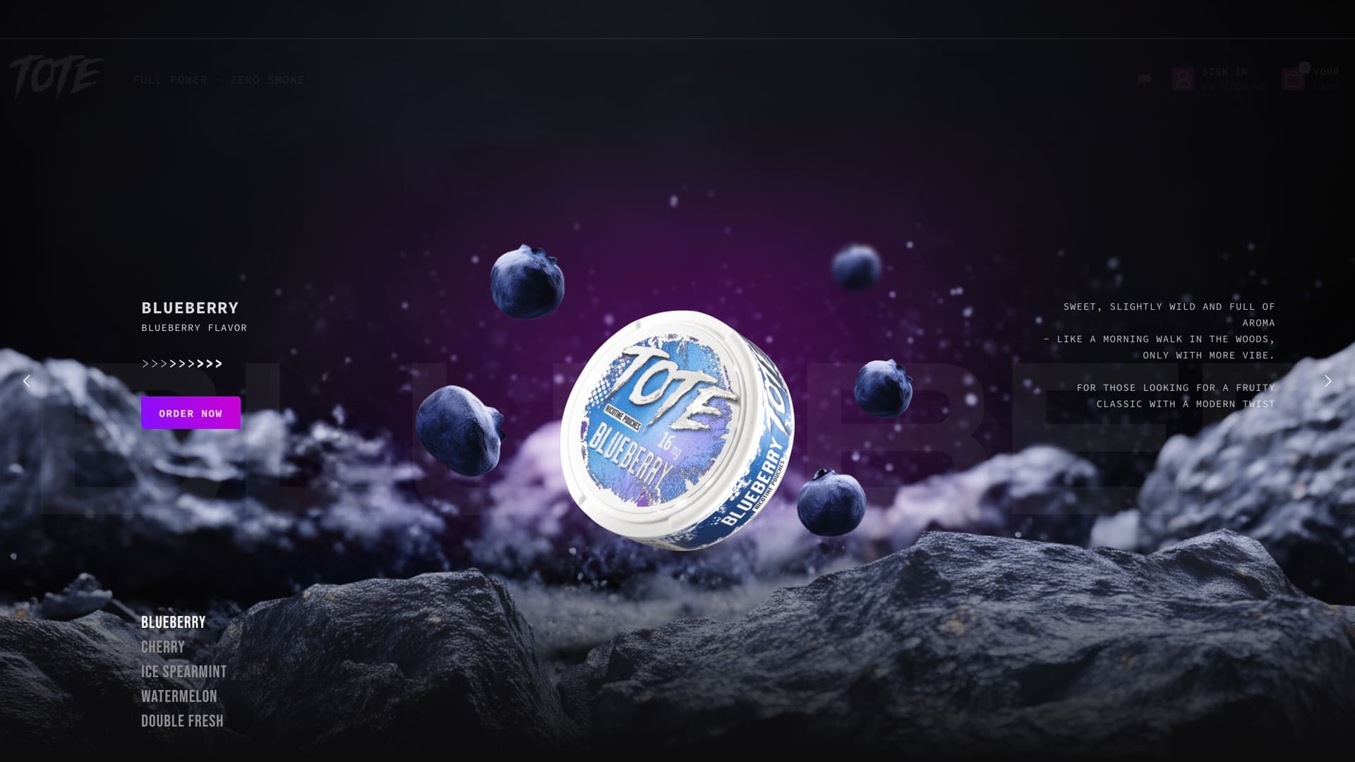 totesnus.com — wdrożenie